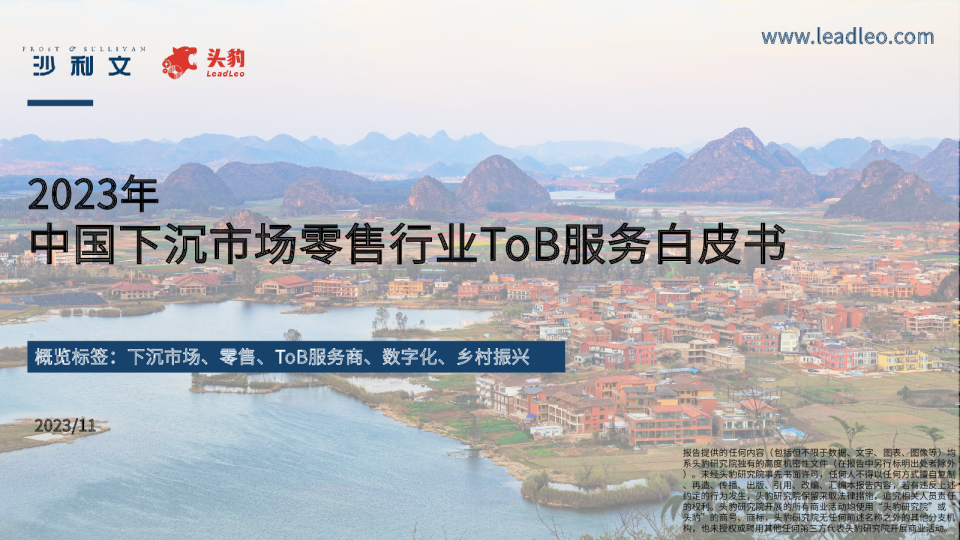 2023年中国下沉市场零售行业ToB服务白皮书