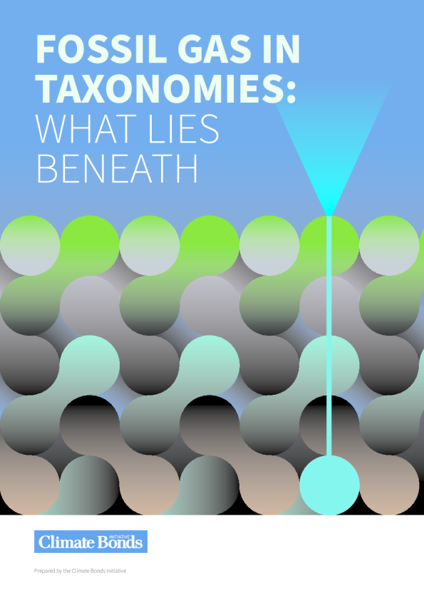 分类中的化石气体：隐藏在下面的是什么