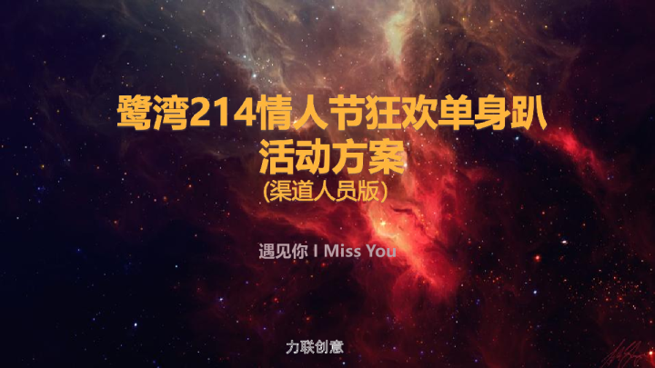 2017鹭湾情人节狂欢单身趴活动方案