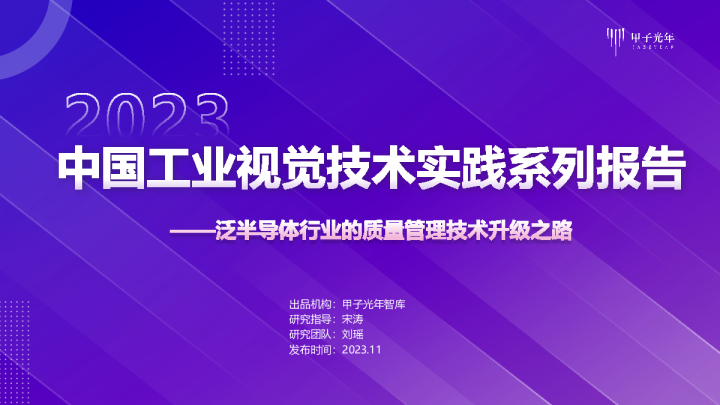 中国工业视觉技术实践系列报告