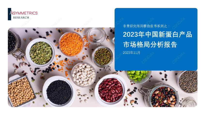 2023年中国新蛋白产品市场格局分析报告