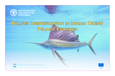 2013年印度洋远洋渔业中的旗鱼识别卡报告