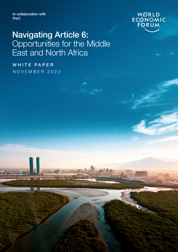 第 6 条 ： 中东和北非的机遇