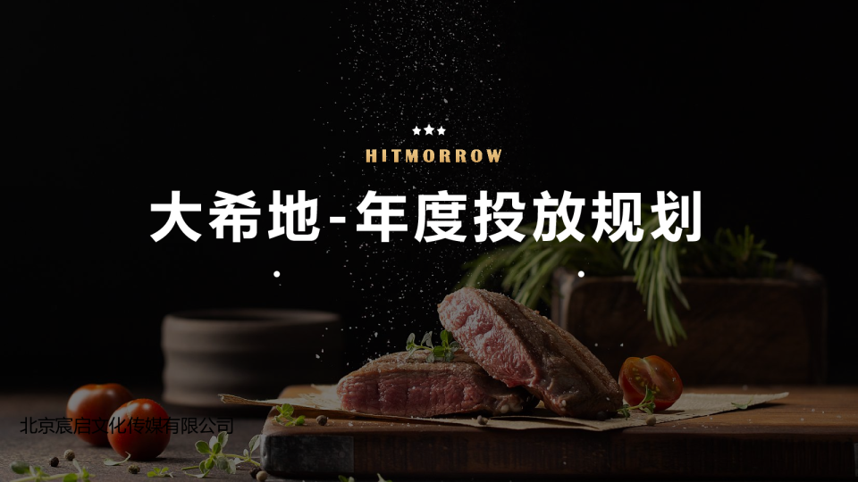 大希地 -年度投放规划