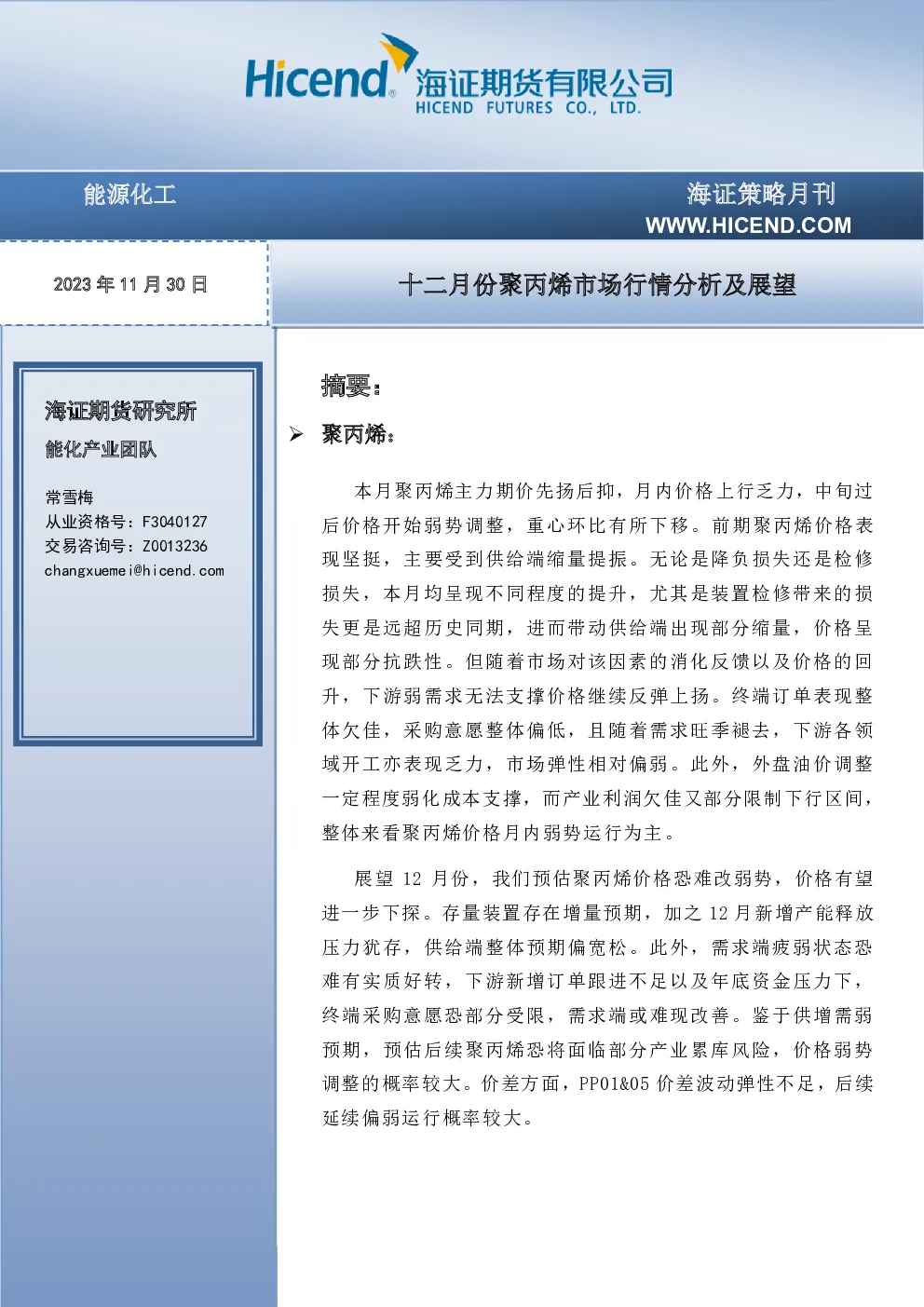 报告封面