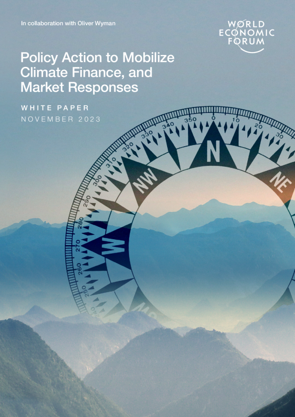 气候融资和市场反应的政策行动