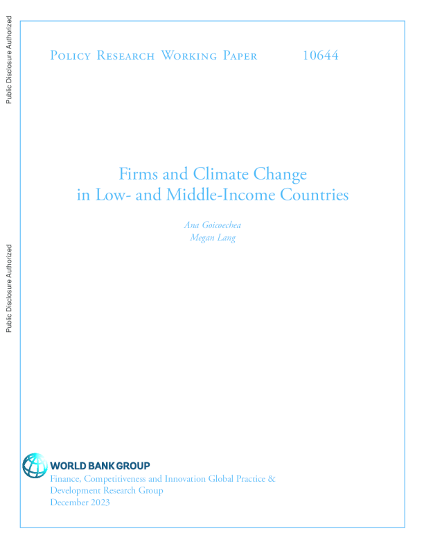 中低收入国家的企业与气候变化