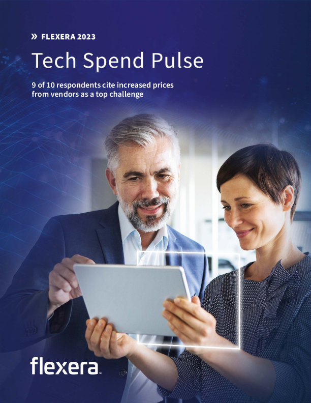 Flexera 2023技术支出脉冲