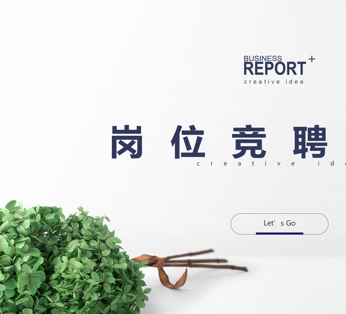 通版电商平台类岗位竞聘报告_grogramme