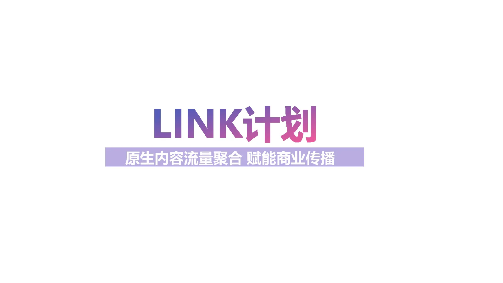LINK产品介绍