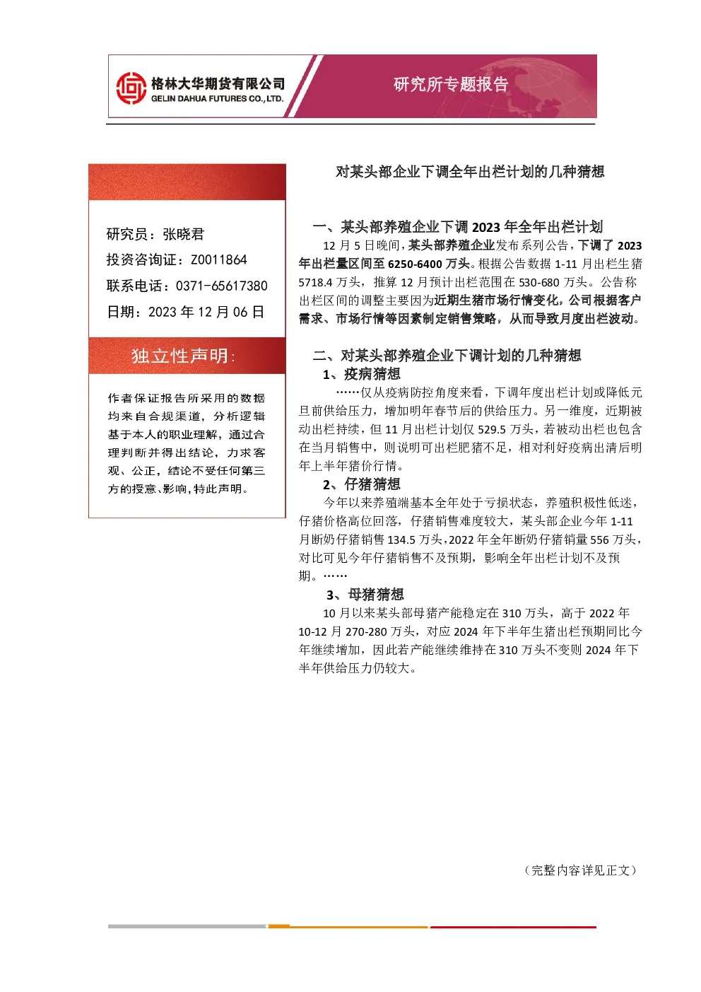 报告封面
