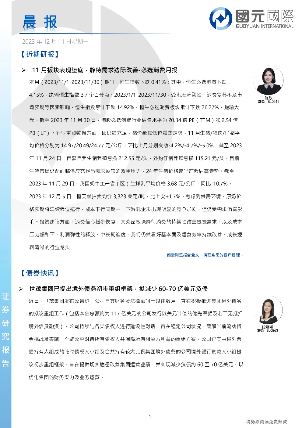 报告封面