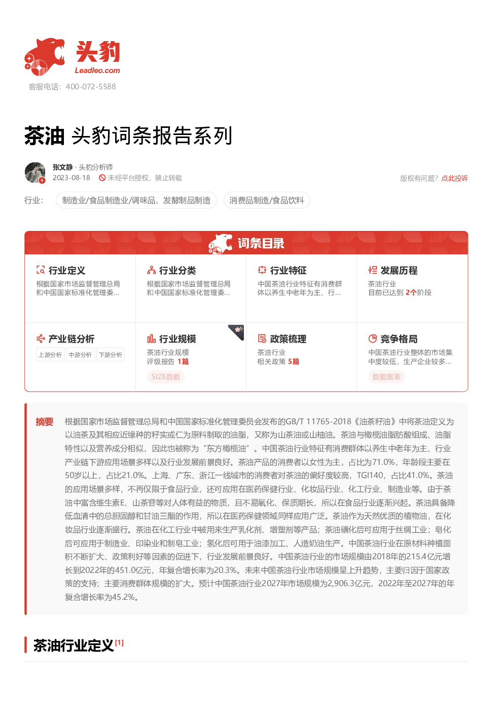 报告封面