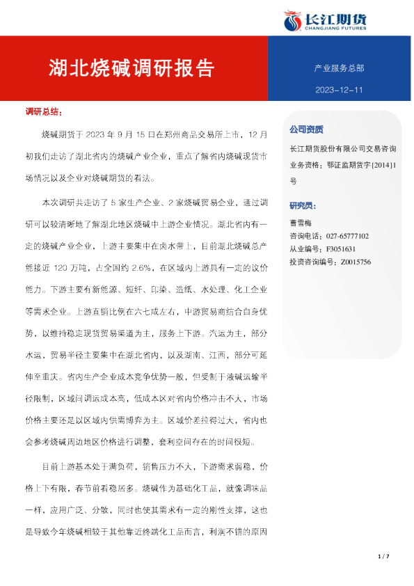湖北烧碱调研报告
