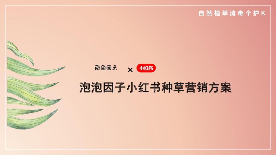 泡泡因子小红书品类种草营销全案