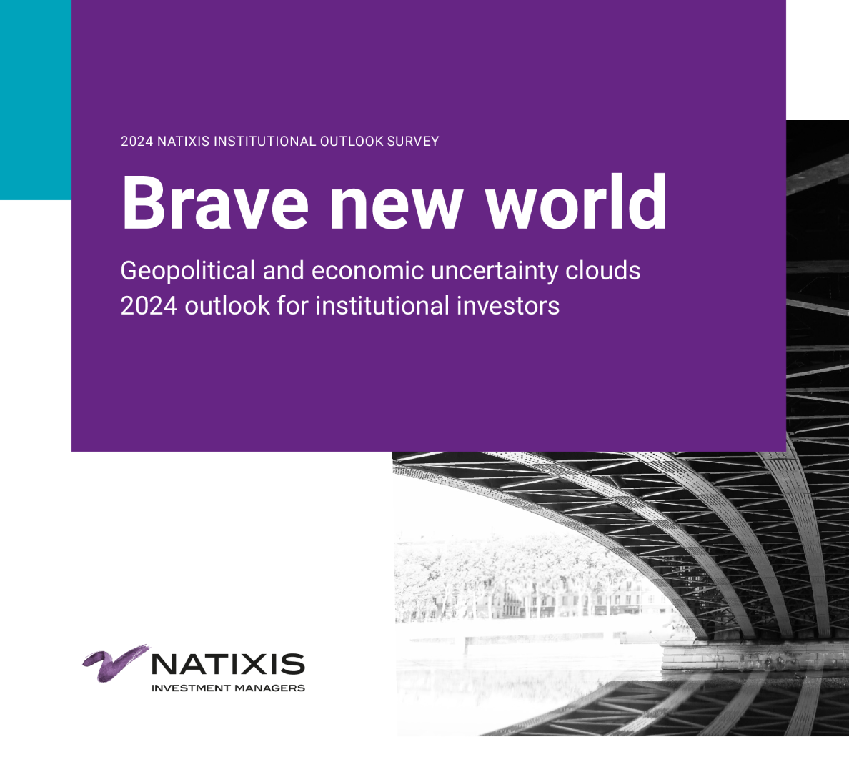 美丽新世界——2024年机构投资者展望