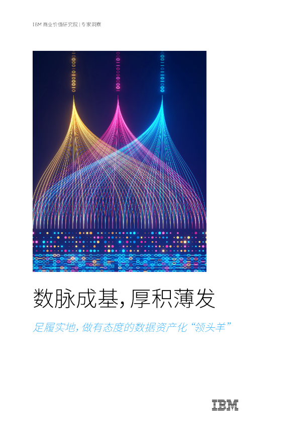 足履实地，做有态度的数据资产化“领头羊”：数脉成基，厚积薄发