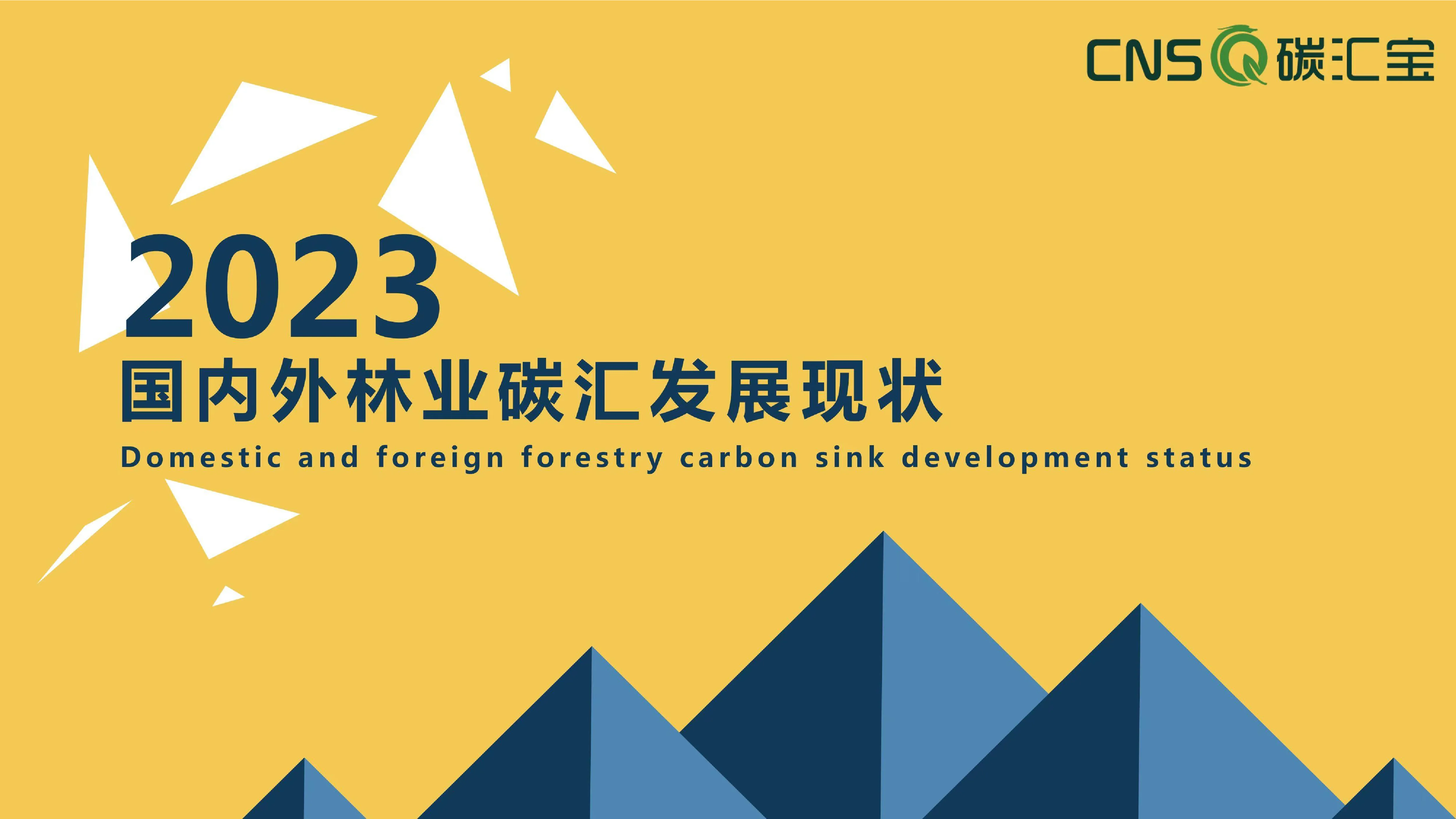 2023国内外林业碳汇发展现状