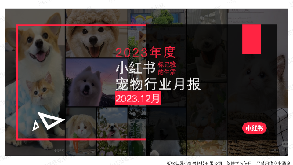 2023年度小红书宠物行业月报