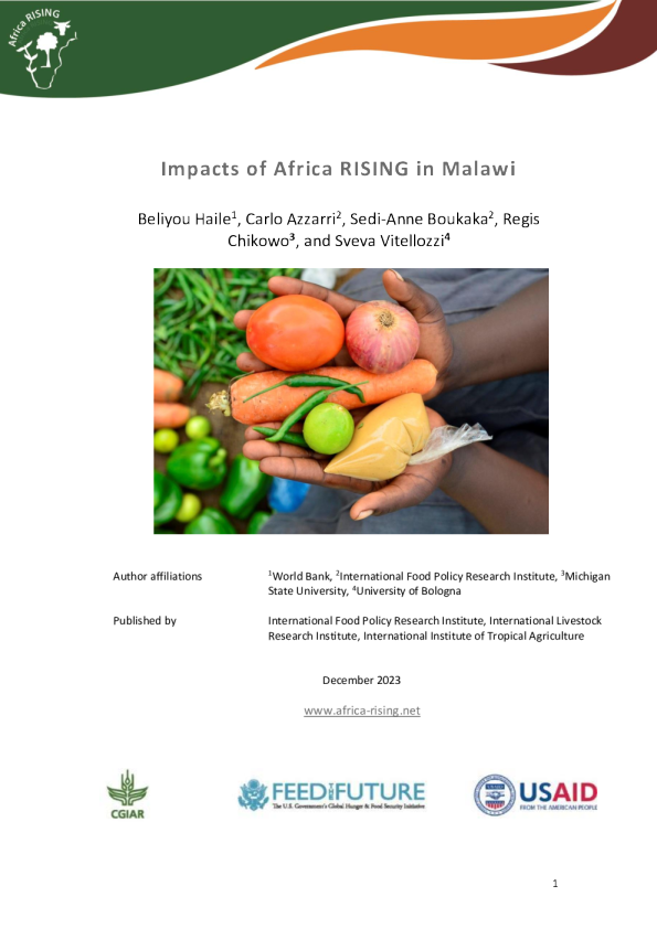 非洲在马拉维崛起的影响