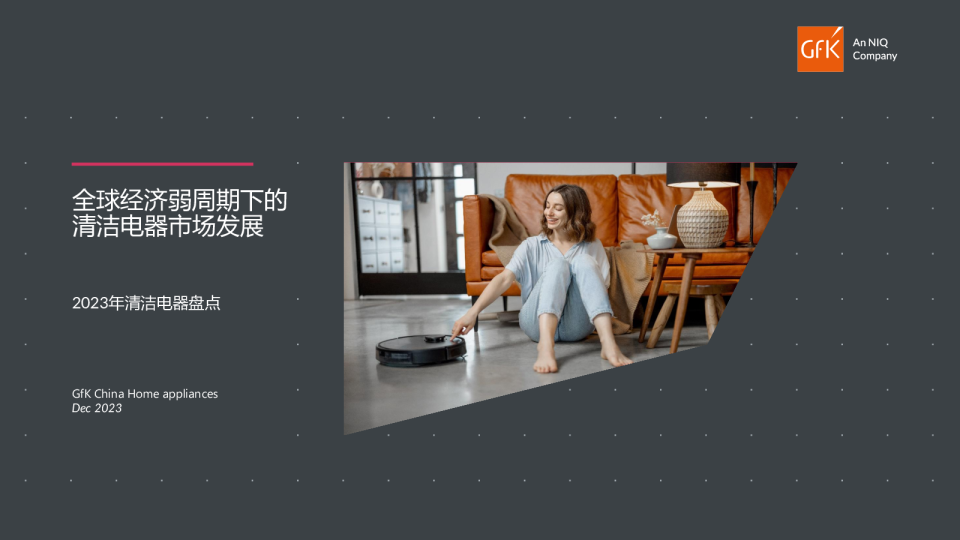 全球经济弱周期下的清洁电器市场发展