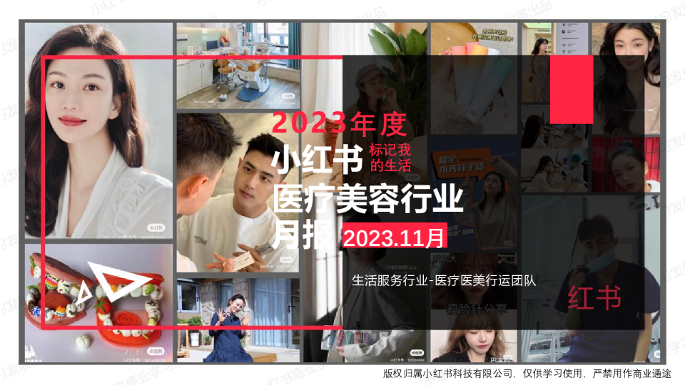 小红书2023年医疗美容行业11月月报