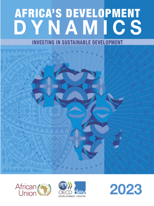 2023年非洲发展动态报告