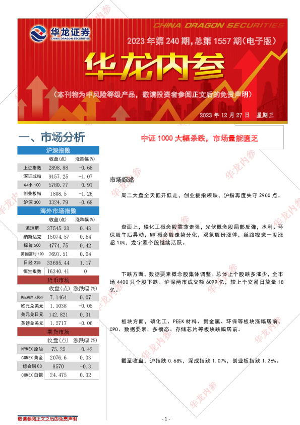 华龙内参2023年第240期，总第1557期（电子版）