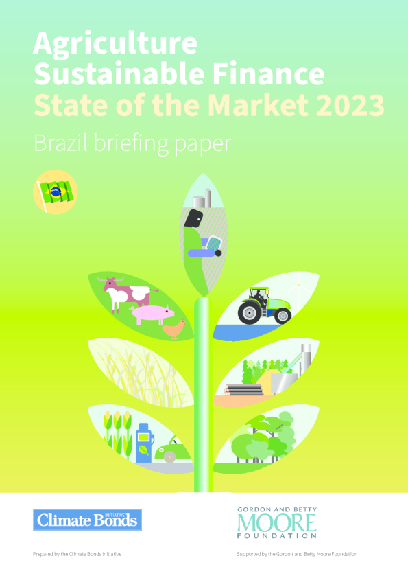 2023 年农业可持续金融市场状况  巴西简报