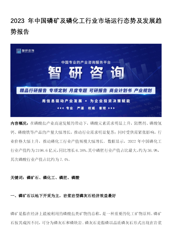 2023年中国磷矿及磷化工行业市场运行态势及发展趋势报告
