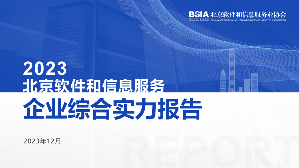 2023北京软件和信息服务企业综合实力报告