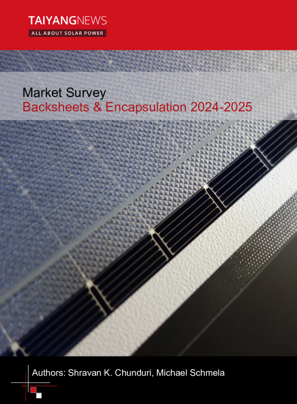 太阳能背板和封装材料市场调查2024-2025