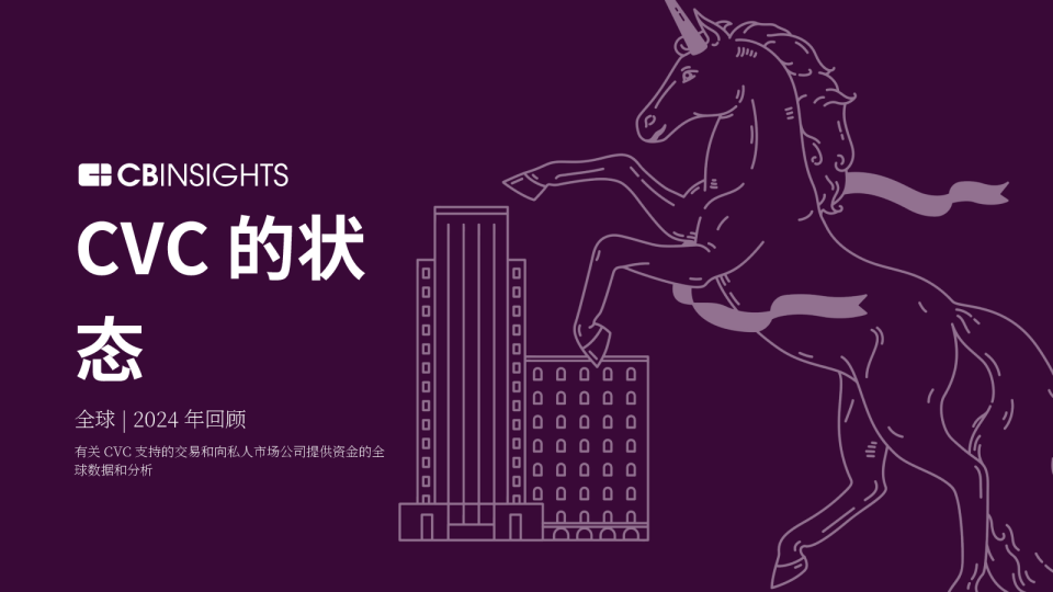 CVC 的状态 全球 2024 年回顾