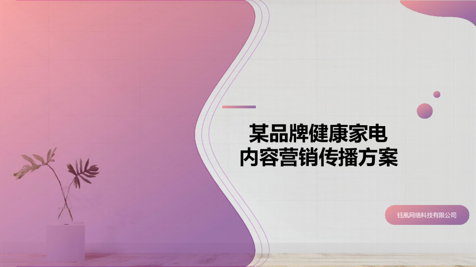 2021品牌洗衣机冰箱洗碗机线上传播方案