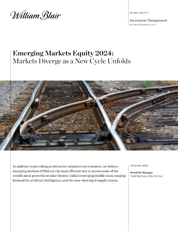 新兴市场股票 2024