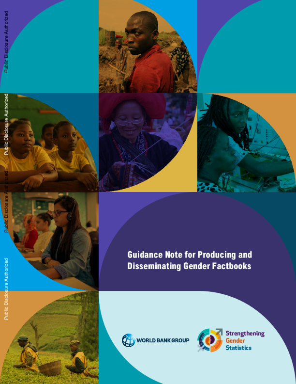 编制和传播性别专题手册的指导说明