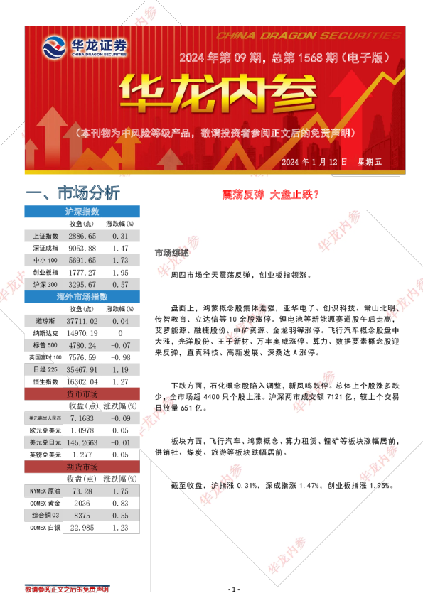 华龙内参2024年第09期，总第1568期（电子版）