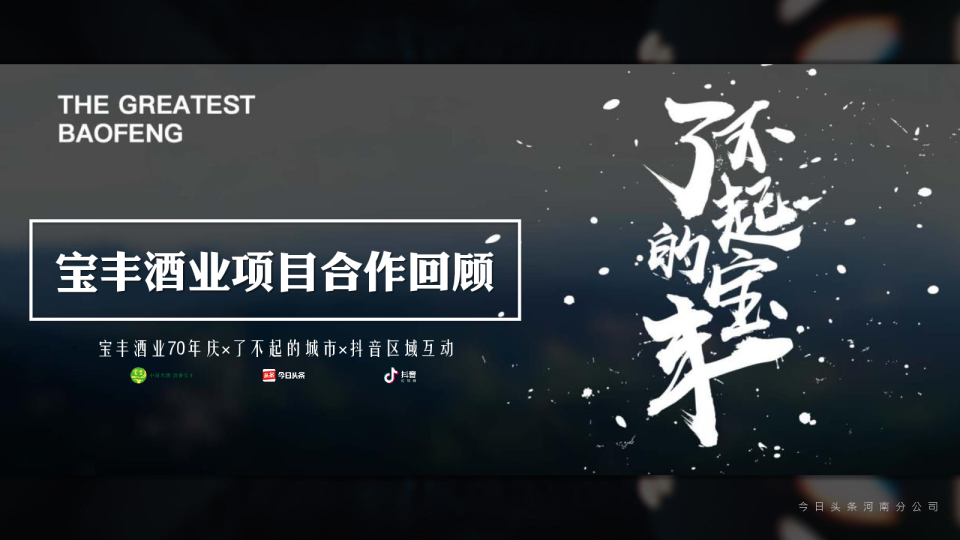 河南宝丰酒业项目结案