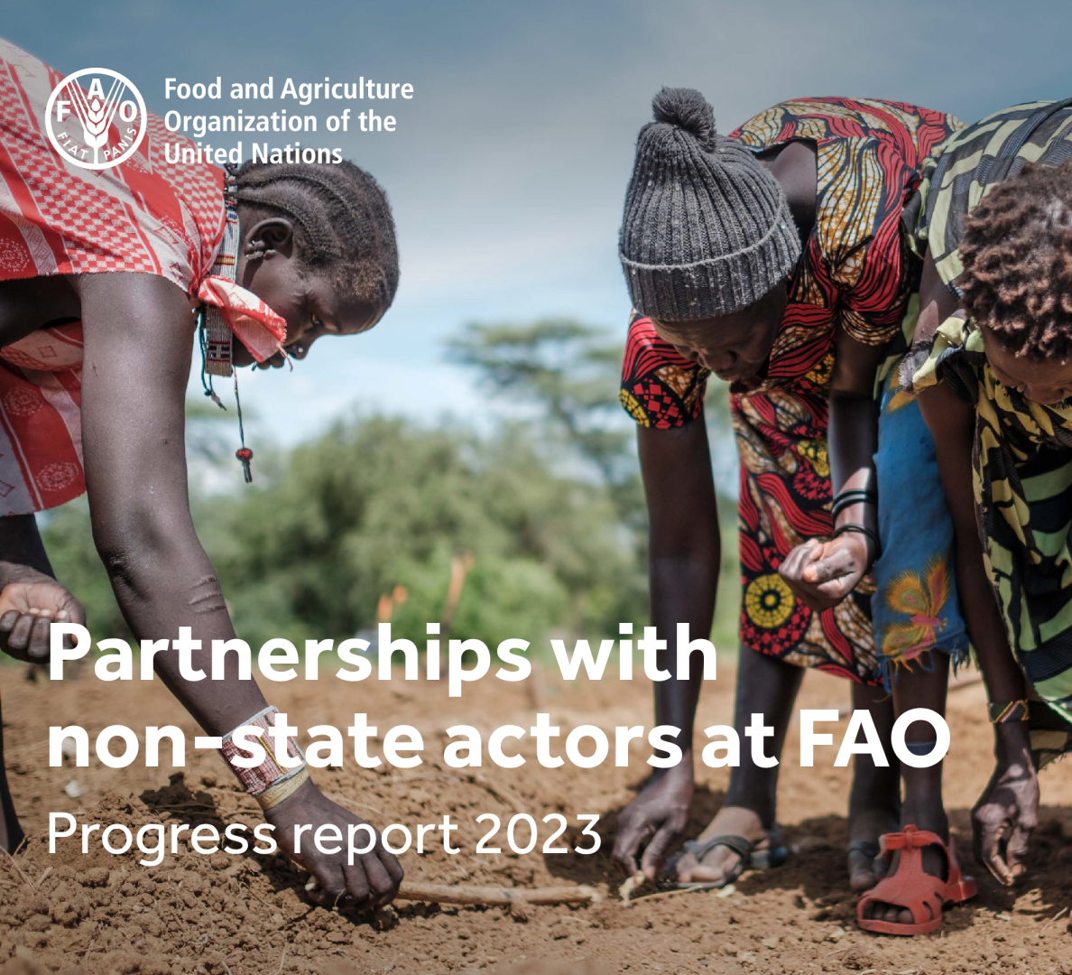 粮农组织 2023 年进度报告中与非国家行为者的伙伴关系