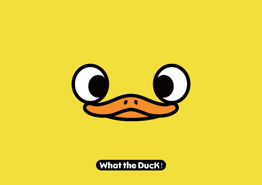 W.T.DUCK什么鸭品牌策划