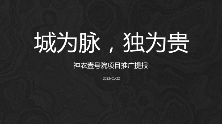 神农壹号院项目推广提报