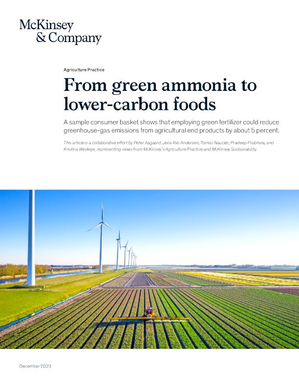 从绿色氨到低碳食品