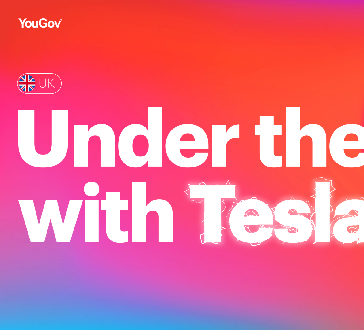 在特斯拉的引擎盖下