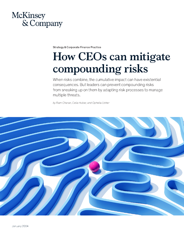 CEO 如何减轻复合风险