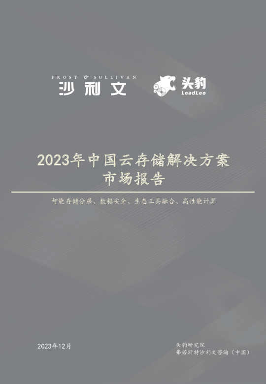 2023年中国云存储解决方案市场报告