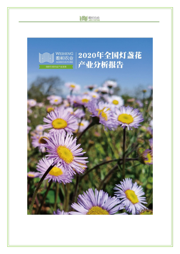 2020年全国灯盏花产业分析报告
