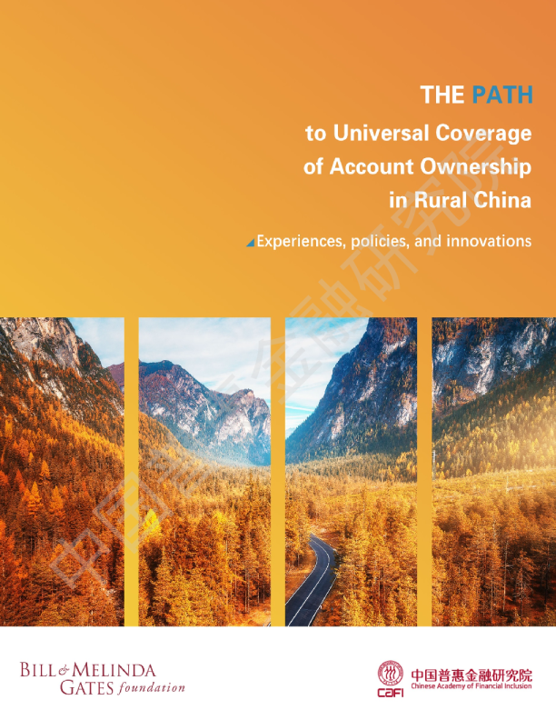 中国农村账户拥有率演变