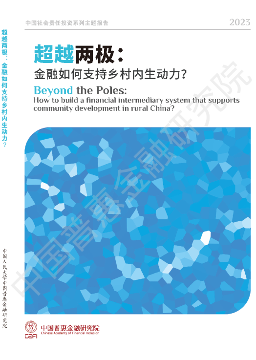 超越两极：金融如何支持乡村内生动力