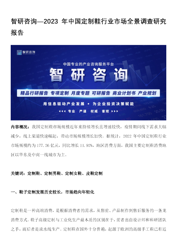 2023年中国定制鞋行业市场全景调查研究报告