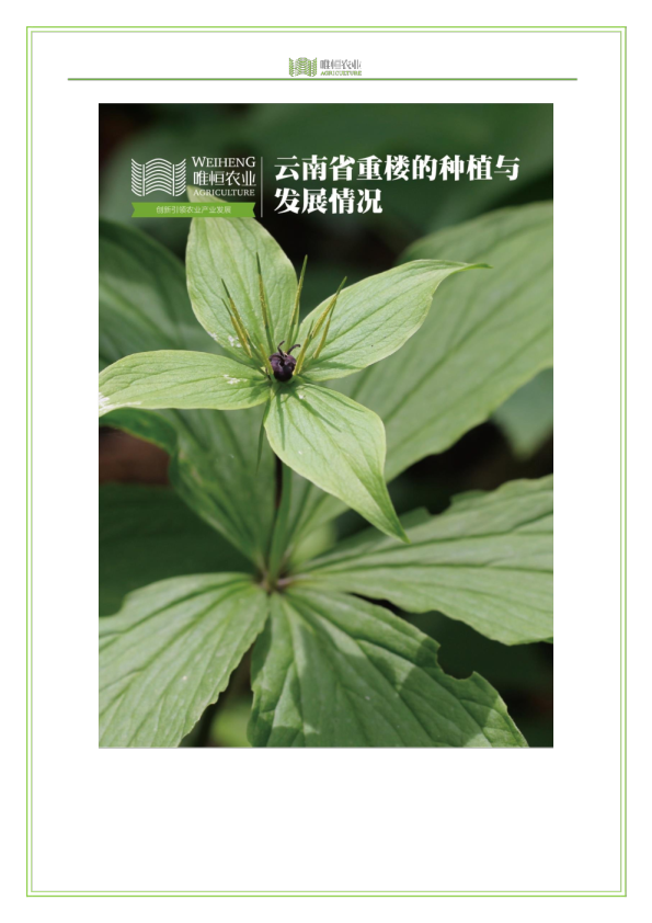 云南省重楼的种植与发展情况